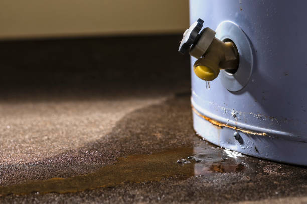 Best Flood damage cleanup  in Chadron, NE