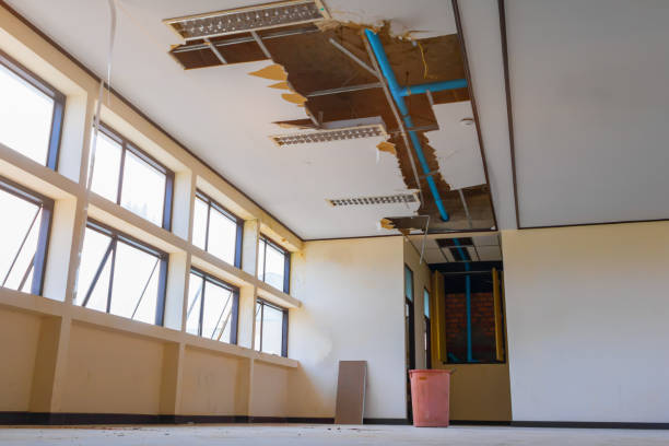 Best Ceiling water damage repair  in Chadron, NE