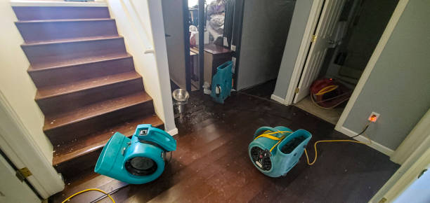 Water damage restoration mold remediation in NE