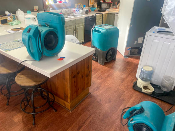 Best Basement water damage restoration  in Chadron, NE