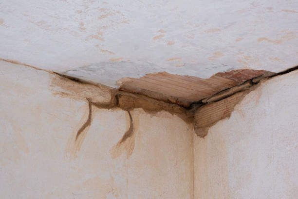 Best Residential water damage restoration  in Chadron, NE