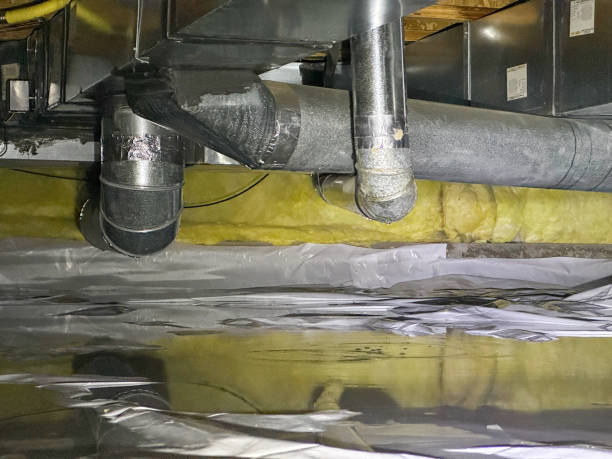 Best Mold removal after water damage  in Chadron, NE