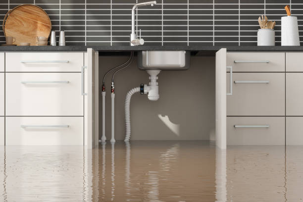 Best Local water damage restoration  in Chadron, NE